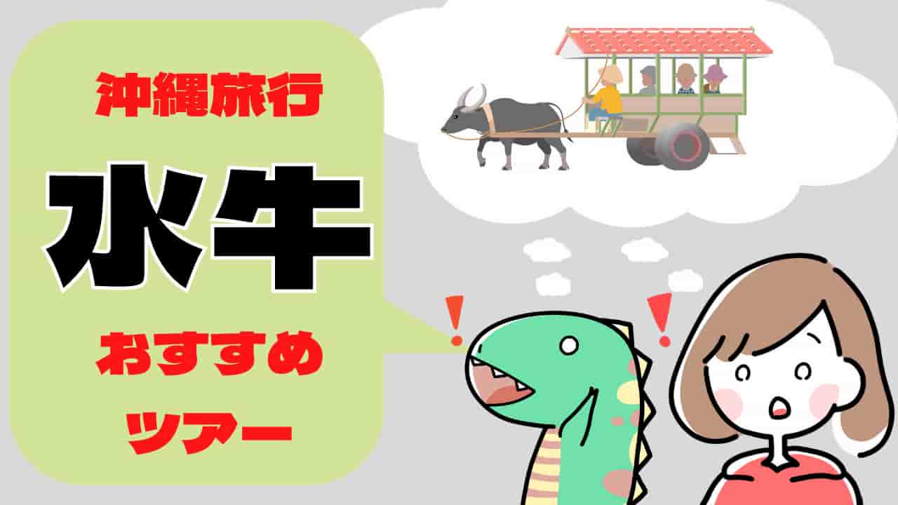 沖縄観光 水牛に乗ってツアー観光 マングローブや 海を渡る体験も 本島と離島 フクギ並木 竹富島についてご紹介 ぐだぐだ日常ブログ 沖縄観光 水牛に乗ってツアー観光 マングローブや 海を渡る体験も 本島と離島 フクギ並木 竹富島についてご紹介 ぐだぐだ日常ブログ